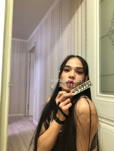 Транс Шымкента Транс№339932 Камилла на пару дней Фотография №2654504