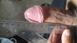 Жиголо Алматы Анкета №352239 Фотография №3163564