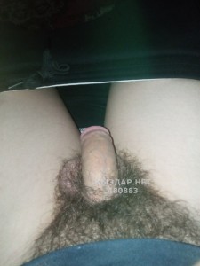 Жиголо Кокшетау Парень№480883 Heron Фотография №3638075