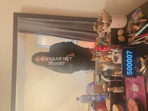 Транс Алматы Транс№500007 Аня Фотография №3776644