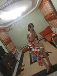 Проститутка Жетысая Анкета №508383 Фотография №3799519