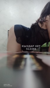 Проститутка Павлодара Анкета №513388 Фотография №3831620