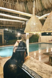 Проститутка Шымкента Анкета №499445 Фотография №3841581