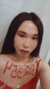 Транс Алматы Анкета №502354 Фотография №3928322