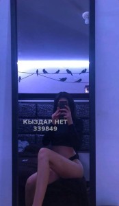 Проститутка Петропавловска Анкета №339849 Фотография №3936165