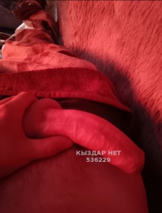 Жиголо Уральска Парень№536229 Tair Фотография №4012573