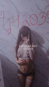 Проститутка Актобе Анкета №442035 Фотография №4048334