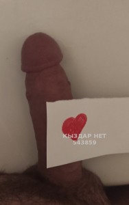 Жиголо Шымкента Парень№543859 Берік Фотография №4083884