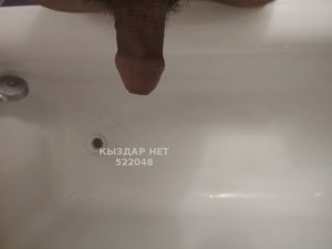 Жиголо Балхаша Анкета №522048 Фотография №4087609