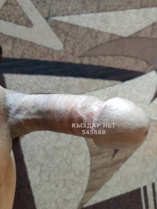 Жиголо Семея Парень№545688 Сквиртолог Фотография №4098425