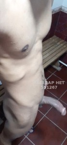 Жиголо Актобе Парень№551267 Тима Фотография №4146351