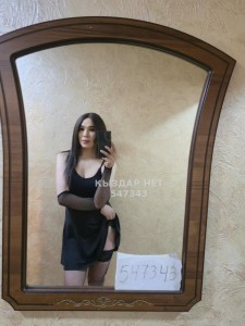 Транс Алматы Транс№547343 Alina Фотография №4156572