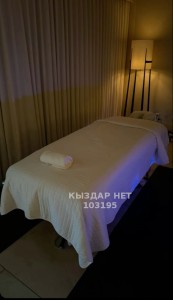Проститутка Алматы Девушка№103195 Проф массаж с окончанием Фотография №4169509