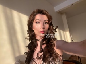 Транс Астаны Транс№11239 Ариэль Последние Дни Фотография №4172842