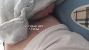 Жиголо Балхаша Анкета №553814 Фотография №4176061