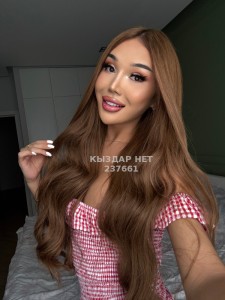 Транс Алматы Транс№237661 D A M E L Y A Фотография №4180683