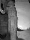 Фотография №4195312