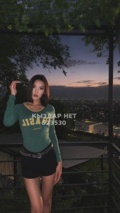 Транс Алматы Транс№523530 Aylin Приват канал Фотография №4232042
