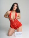 Фотография №4242254