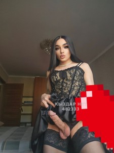 Транс Капчагая Транс№482333 Куколка Алмата Фотография №4253117
