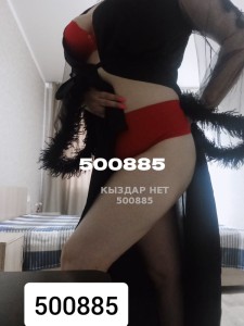Проститутка Караганды Девушка№500885 Aida Фотография №4264136