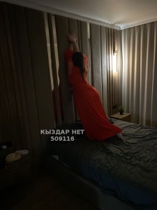 Проститутка Караганды Девушка№509116 Зами Фотография №4267159